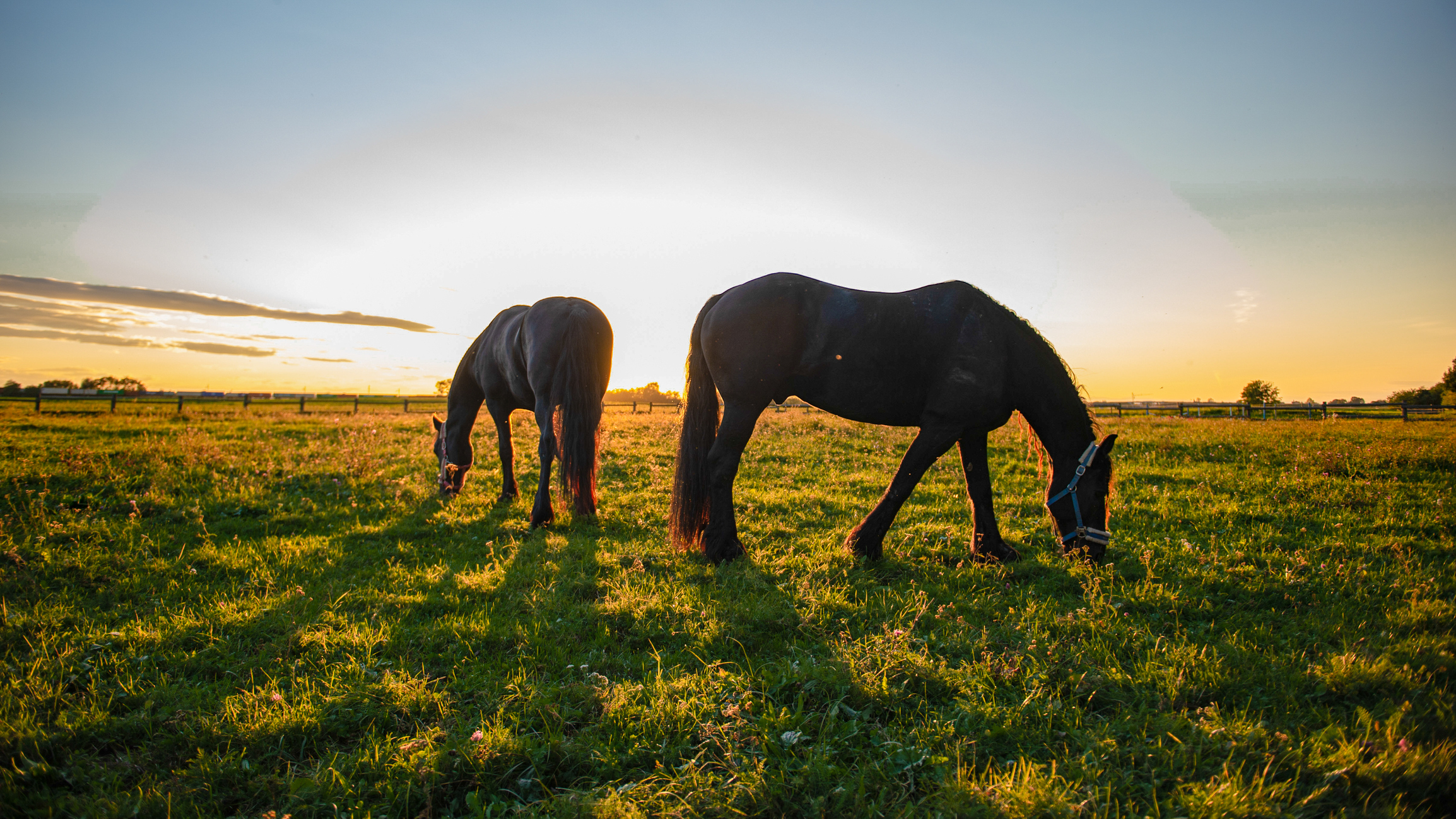 Photo - CSR page iStock 1302785262 iStock 1302785262