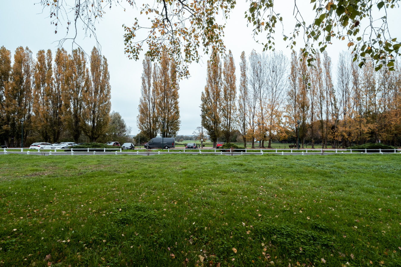Photo - Our event spaces BEST WESTERN SAULX LES CHARTREUX 1451 BEST WESTERN SAULX LES CHARTREUX 1451